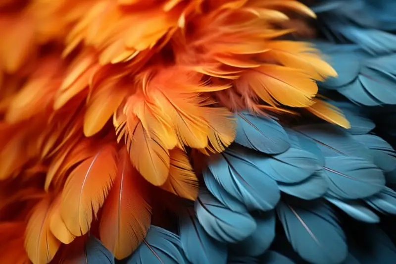 colorido del plumaje aviar