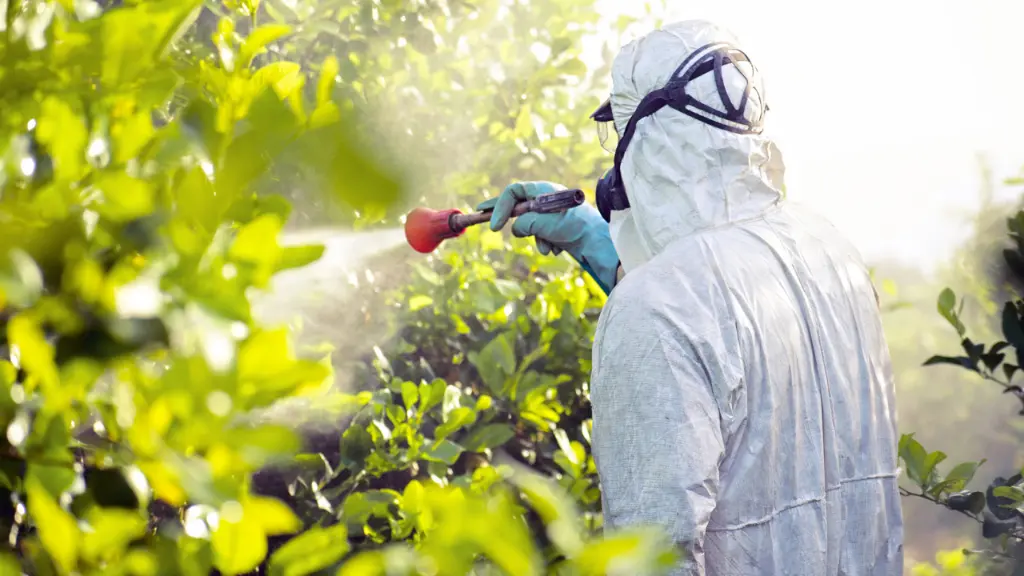productos químicos utilizados para controlar plagas en los cultivos agrícolas