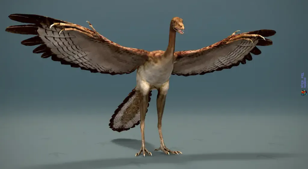 Characteristics of Archaeopteryx