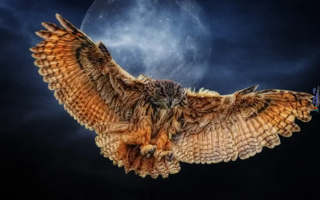 Fascinating Owl Facts