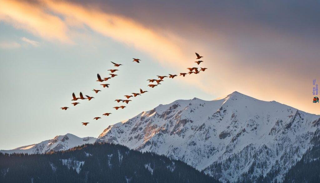 Orange Birds Migration