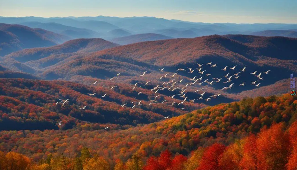 USA Bird Migration Routes