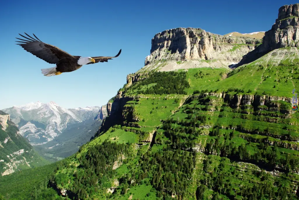 Best Bird Watching Spots in Europe
