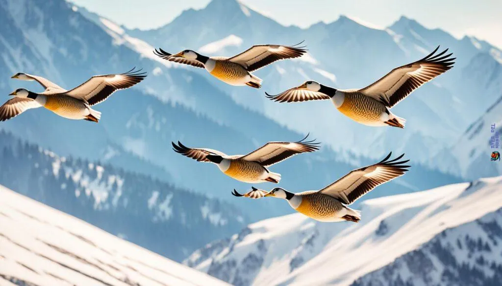 Bird Migration Patterns