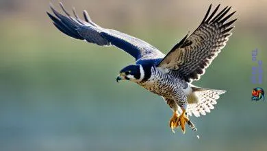 Bird hunting techniques