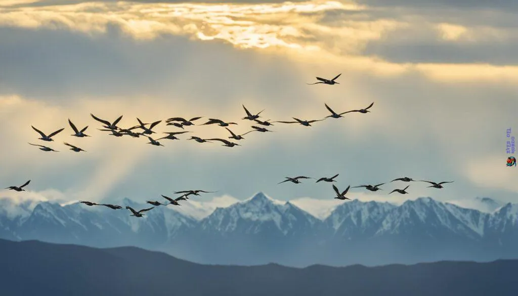 Great Snipe in flight
