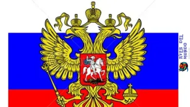 The National Bird of Russia