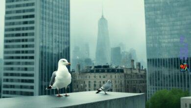 Why do seagulls eat pigeons?