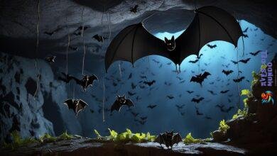 family of bats